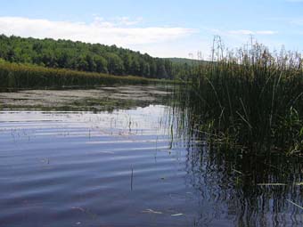 community photo